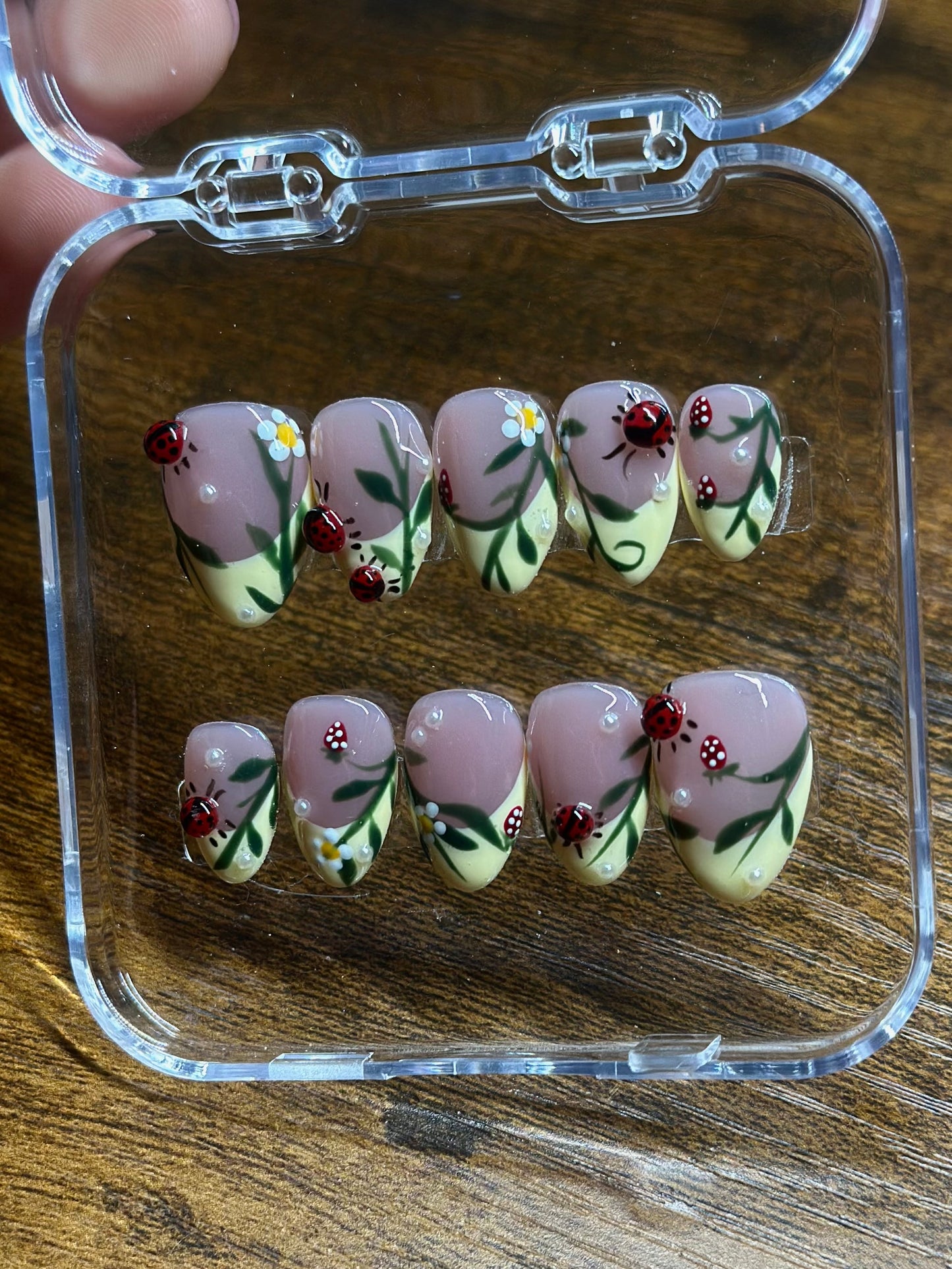 Ladybug and Strawberry Reusable Press on Nails | 3d Ladybugs, Hand painted, Gel Manicure, Blooming gel Presson Nails, Graduation Nails