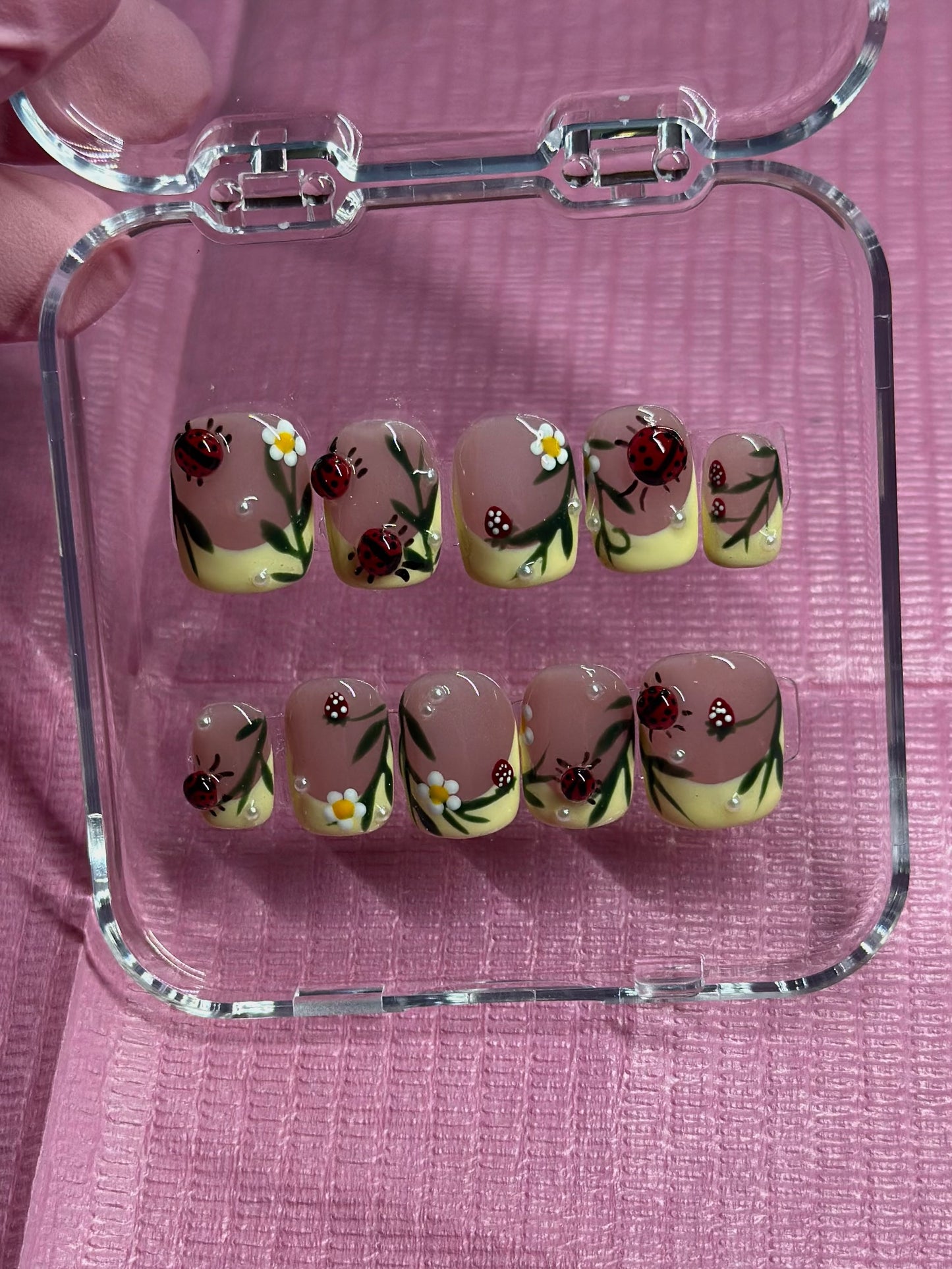 Ladybug and Strawberry Reusable Press on Nails | 3d Ladybugs, Hand painted, Gel Manicure, Blooming gel Presson Nails, Graduation Nails