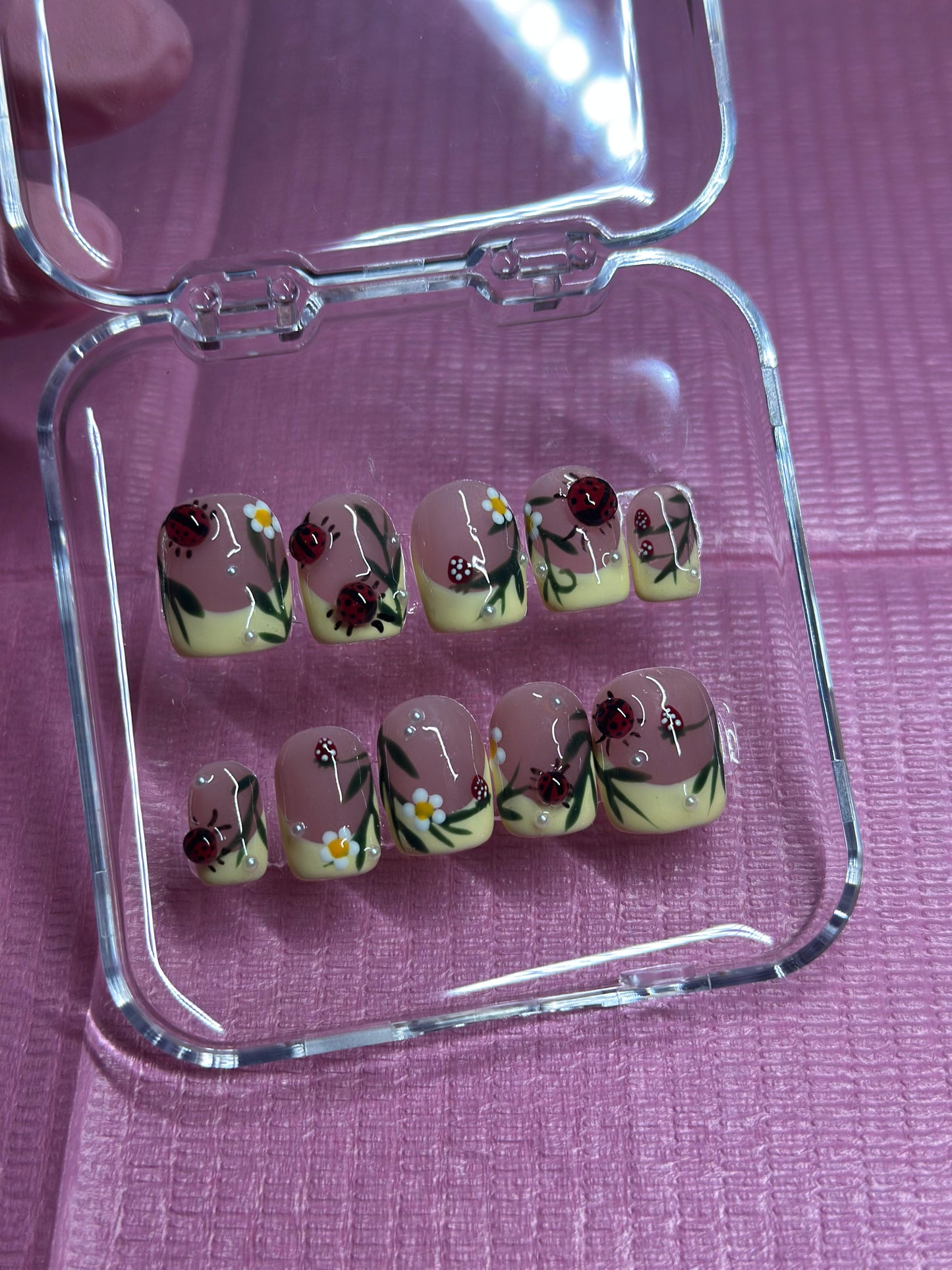 Ladybug and Strawberry Reusable Press on Nails | 3d Ladybugs, Hand painted, Gel Manicure, Blooming gel Presson Nails, Graduation Nails